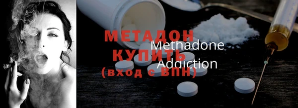 прущие грибы Алексеевка