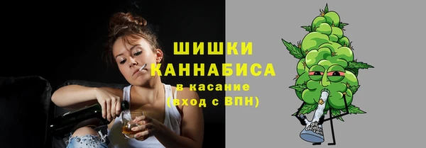 прущие грибы Алексеевка