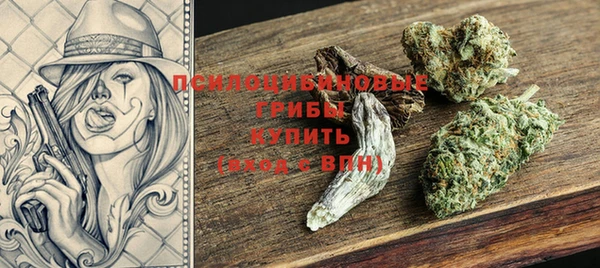 твердый Алексин
