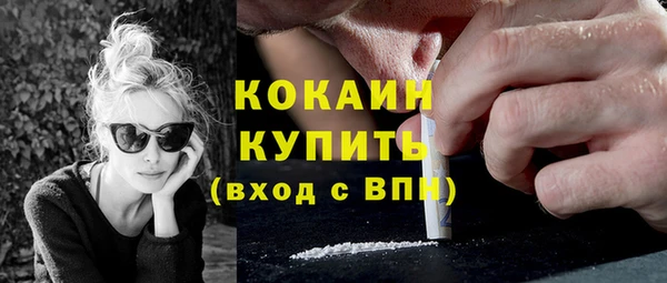 твердый Алексин